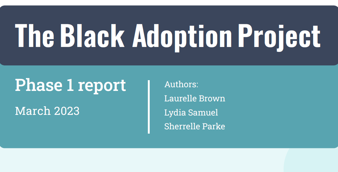 Black Adoption Project phase 1 report